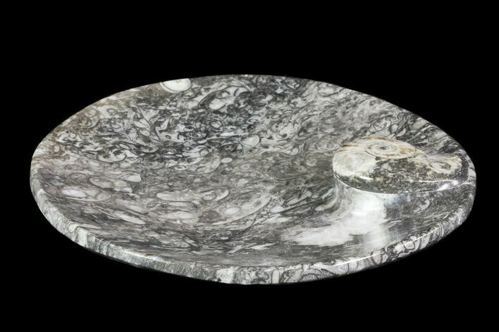 Round Fossil Goniatite Dish #73724
